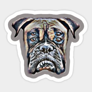 Four eyes boxer Sticker